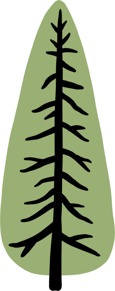 simplicity pine tree freehand drawing flat design. png