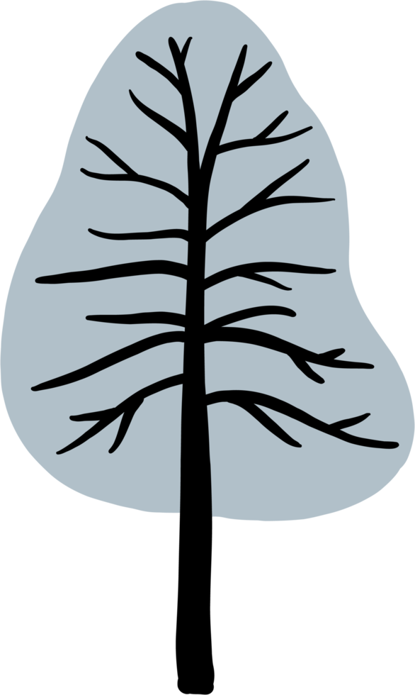 simplicity pine tree freehand drawing flat design. png