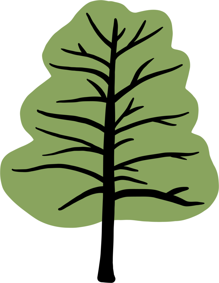 simplicity pine tree freehand drawing flat design. png