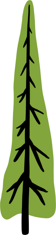 simplicity pine tree freehand drawing flat design. png