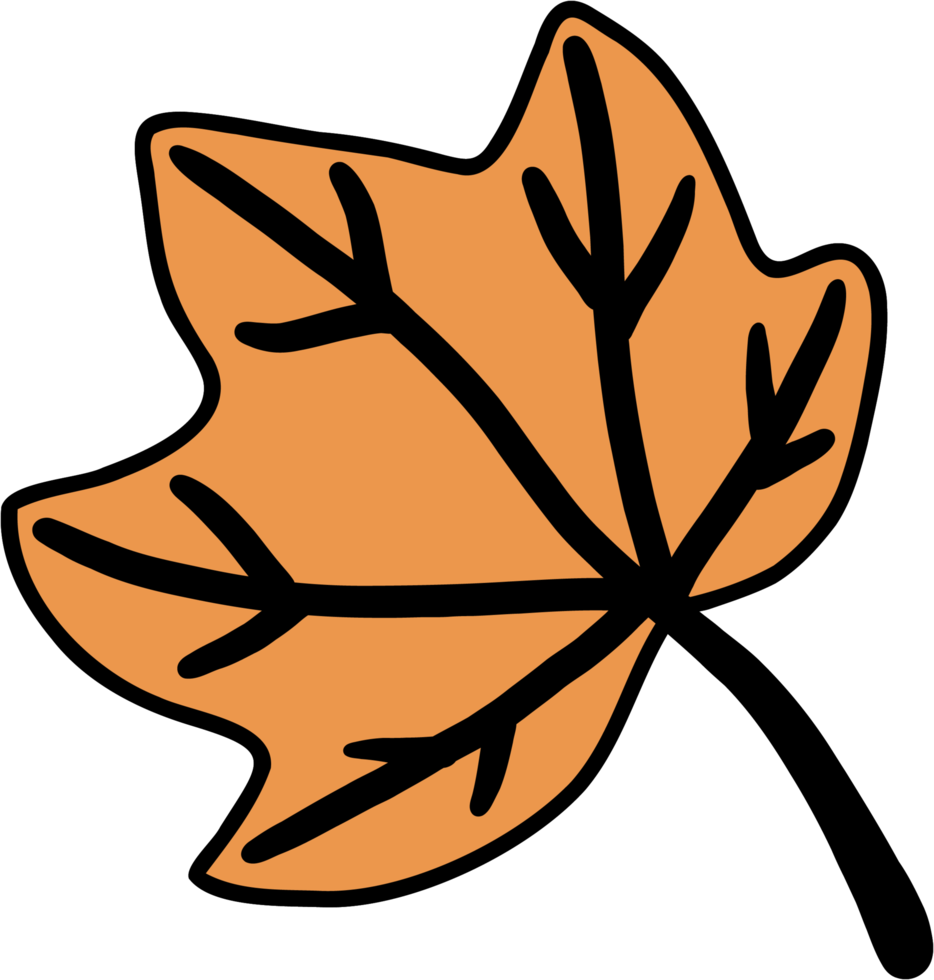 simplicity maple leaf freehand drawing flat design. png