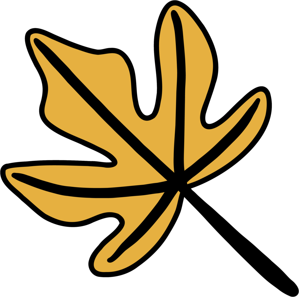 simplicity maple leaf freehand drawing flat design. png