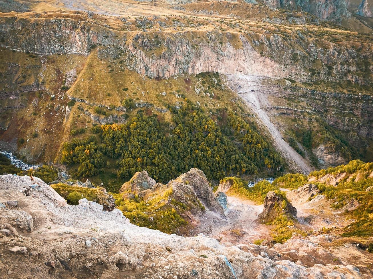 texture and pattern yellow autumn trees in mountains photo