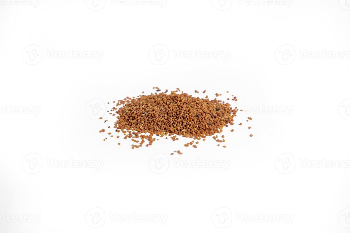 Andrographis paniculata or kalmedh seeds on white background photo