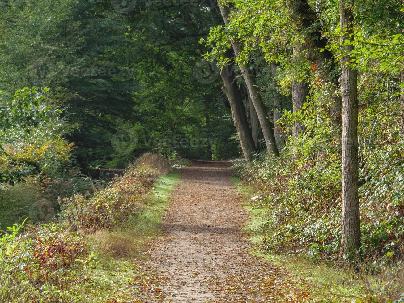 at the river Berkel in germany photo