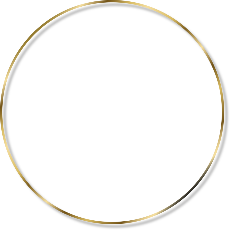 Golden Thin Flossy Frame with Shadow png