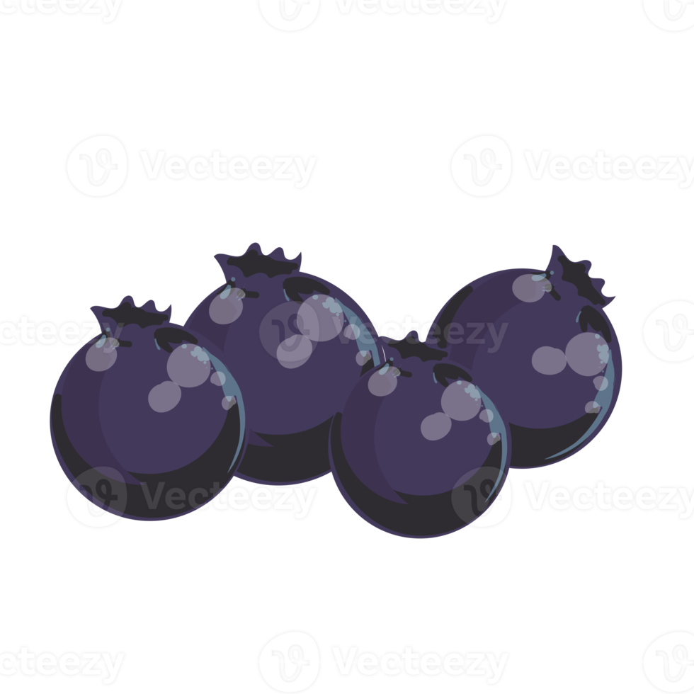 black blueberry paint png