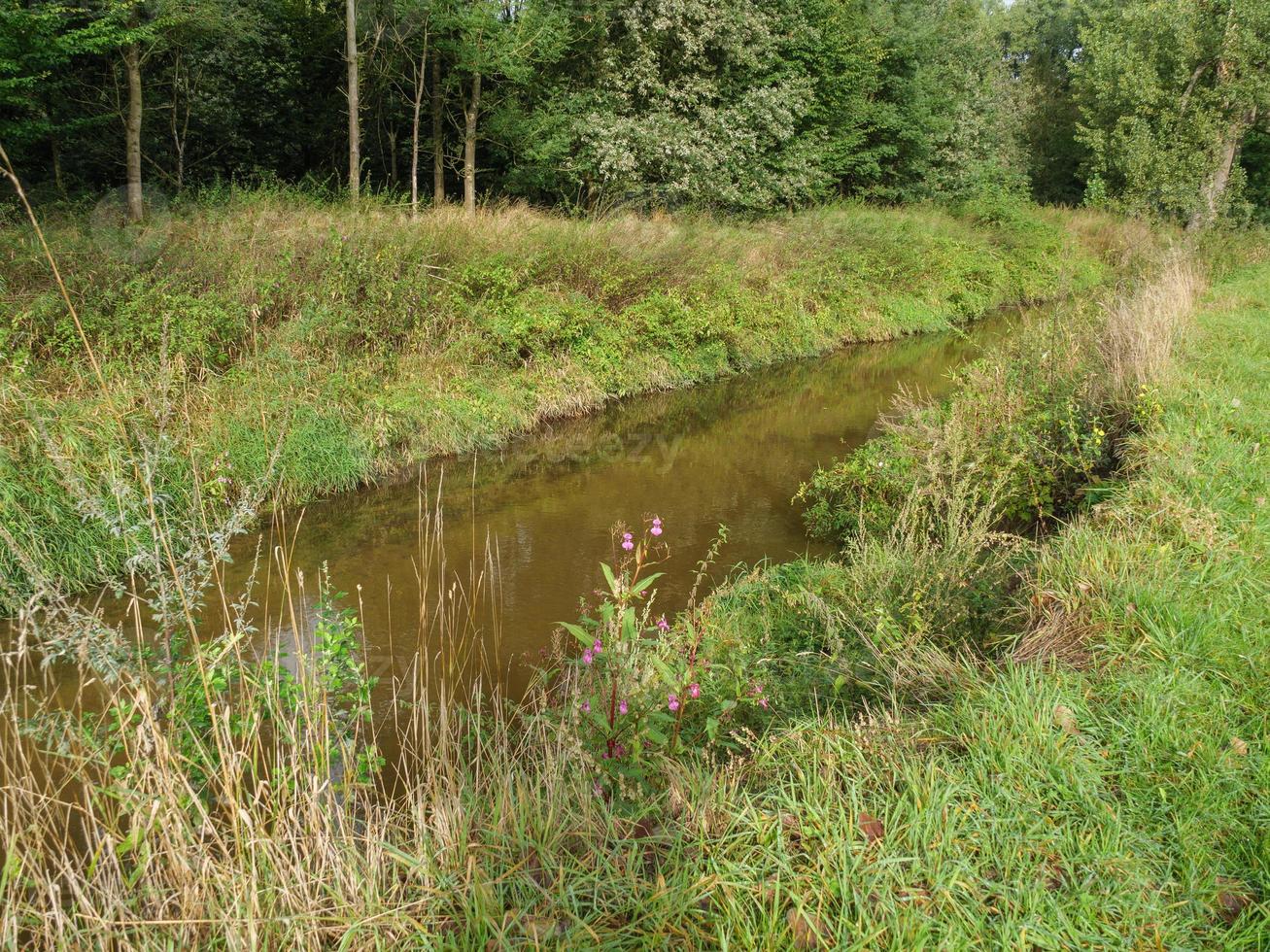 at the river Berkel in germany photo