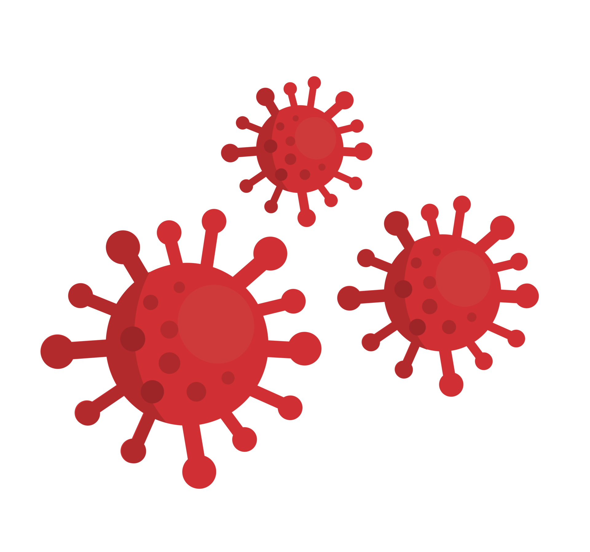 red virus icon 12174340 PNG