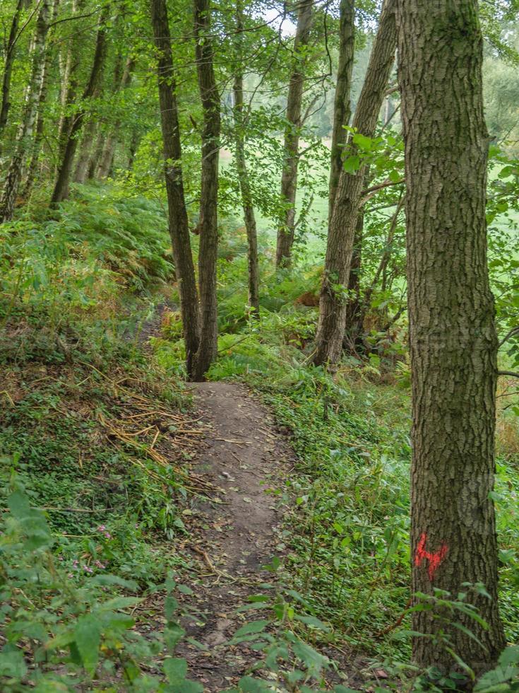 at the river Berkel in germany photo