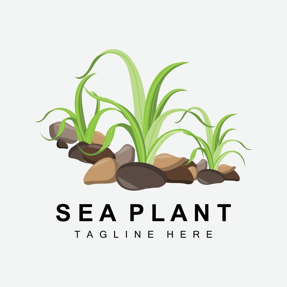 Seaweed Logo, Sea Plants Vector Design, Grocery And Nature Protection