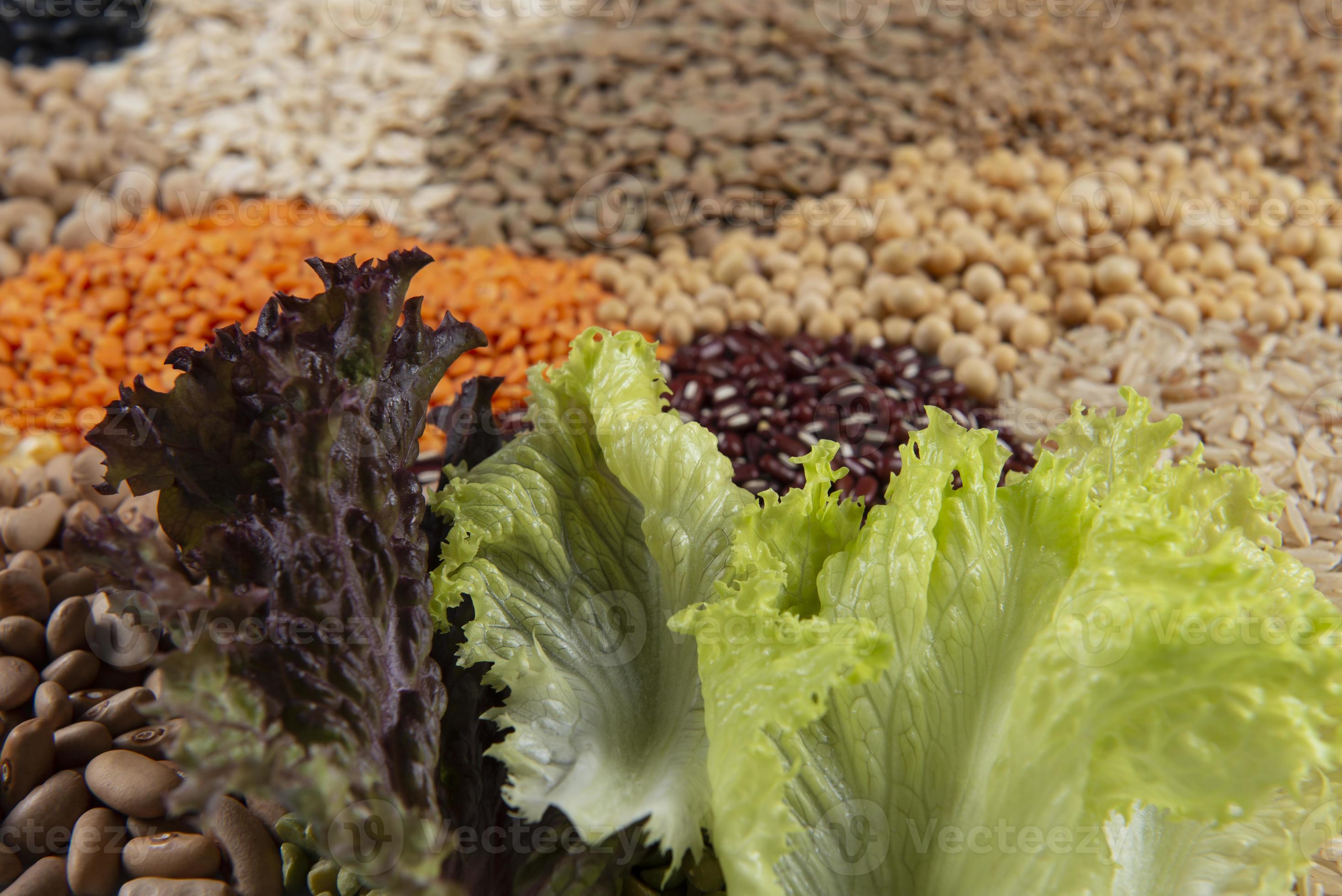 is fiber a source of energy