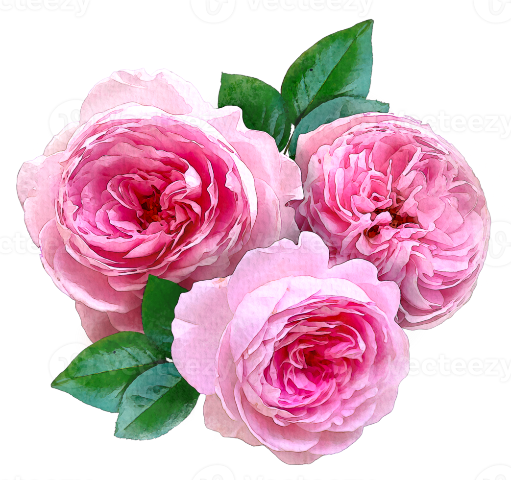 aquarela rosa e folhas. composição botânica para casamento ou cartão de felicitações. png