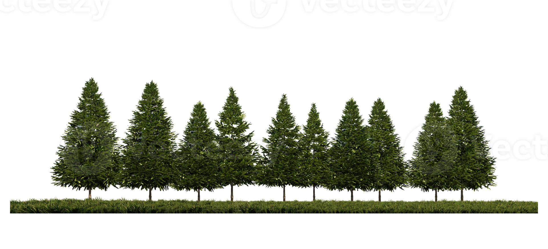 3ds rendering image of front view of pine trees on grasses field png