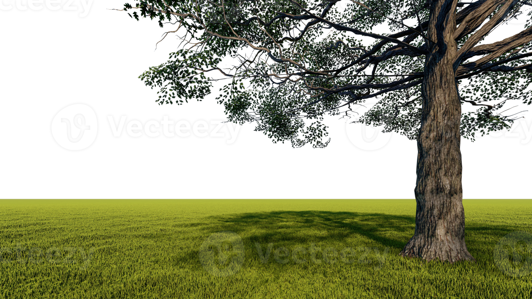 A 3d rendering image of a big tree placed grass field. png