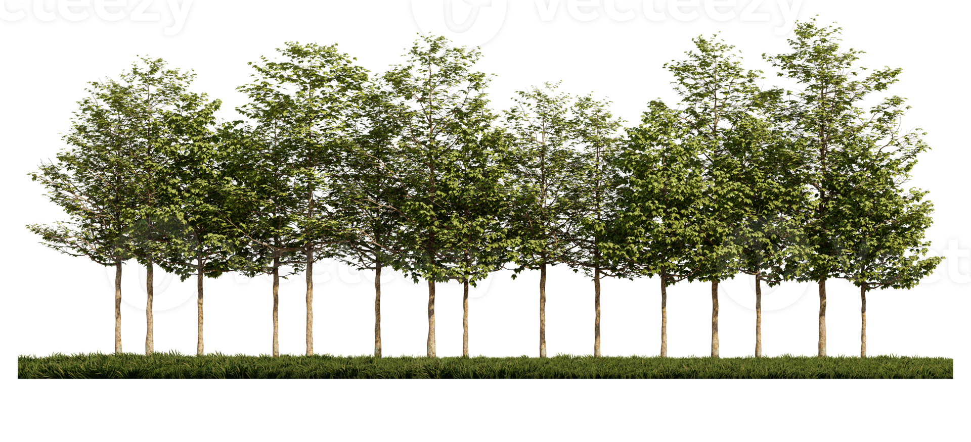 3ds interpretazione Immagine di davanti Visualizza di alberi su erbe campo. png