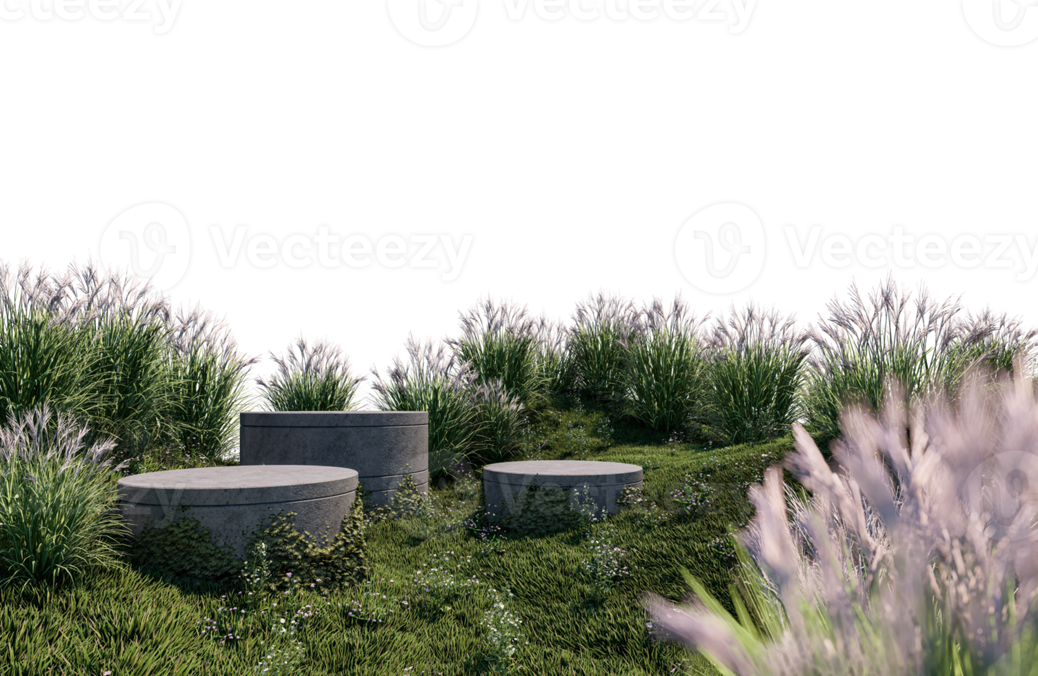 A 3d rendering image of product display on grass field png