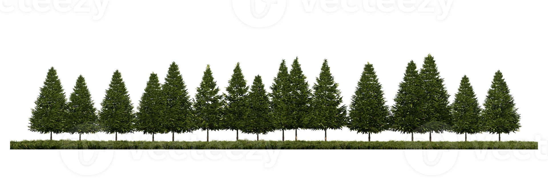 3ds rendering image of front view of pine trees on grasses field png