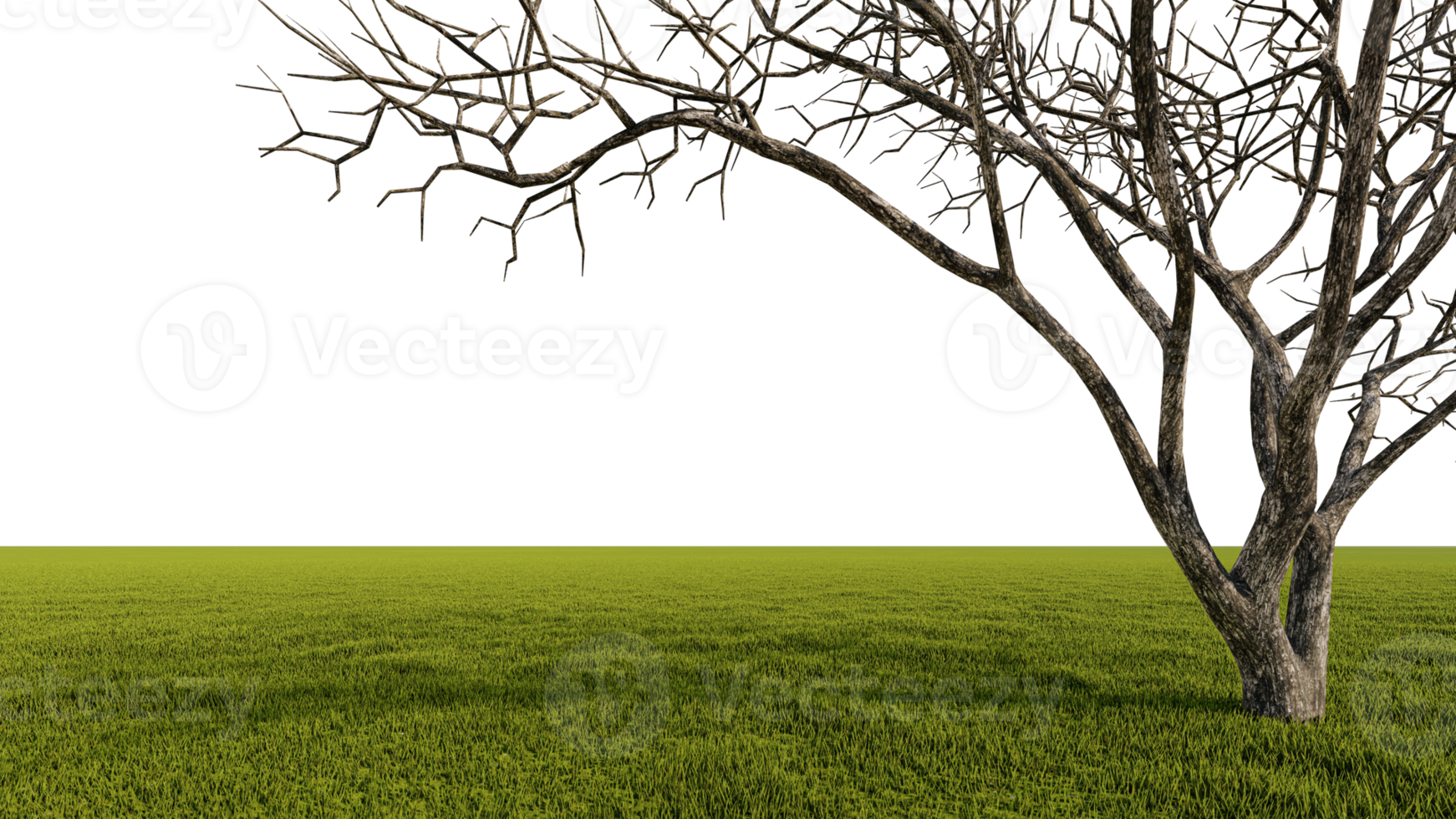 A 3d rendering image of a big dead  tree placed grass field. png