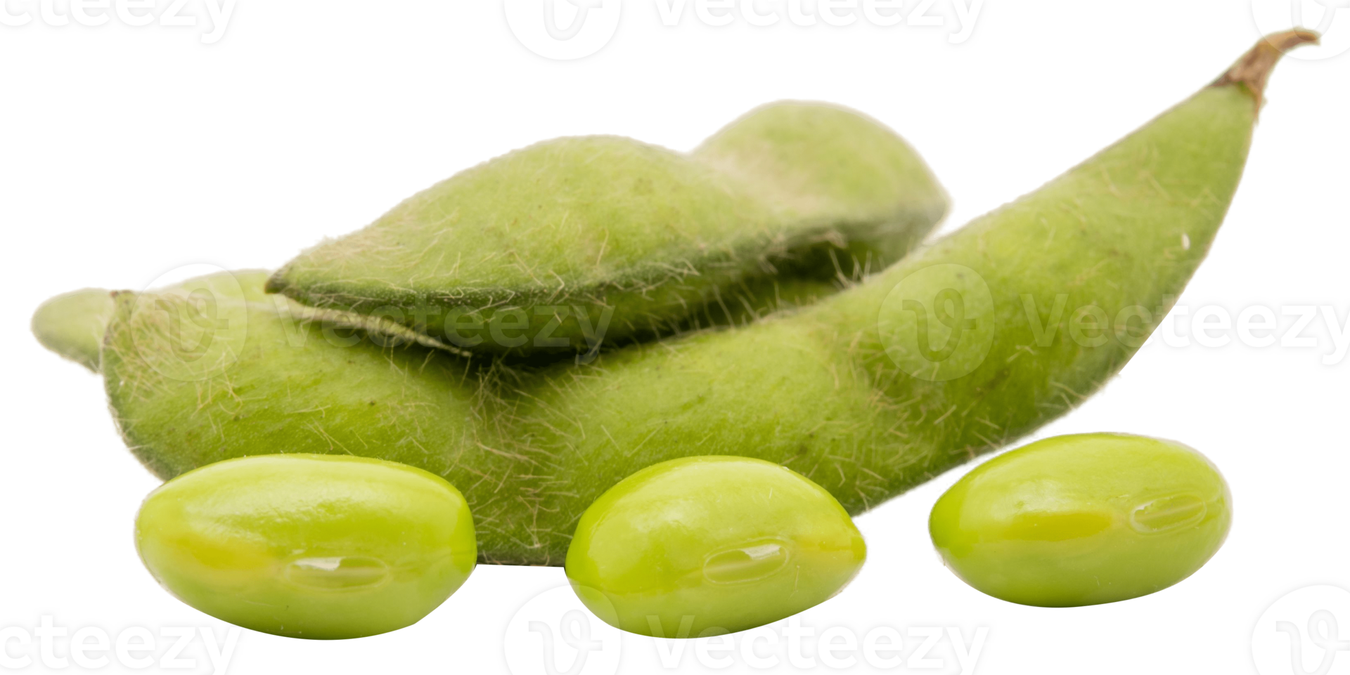 Green soybeans isolated png