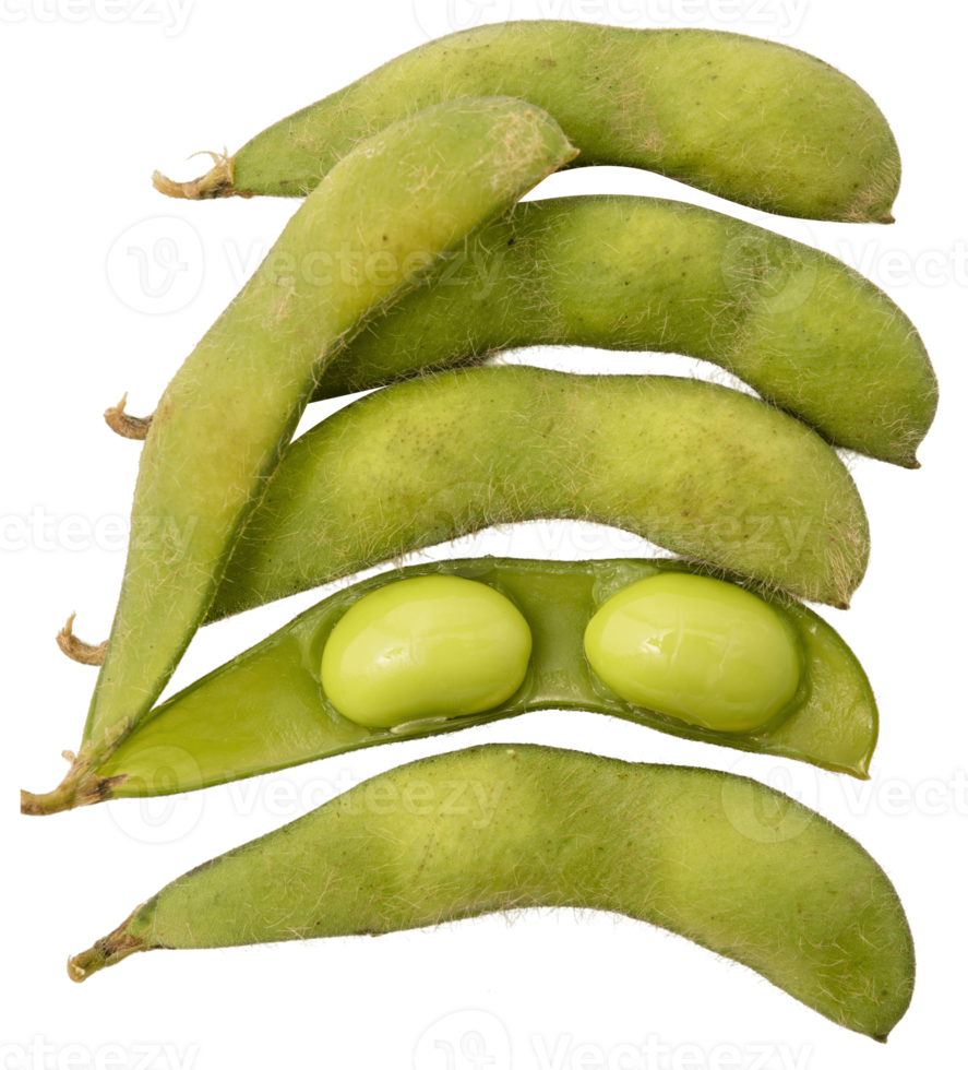 verde semi di soia isolato png