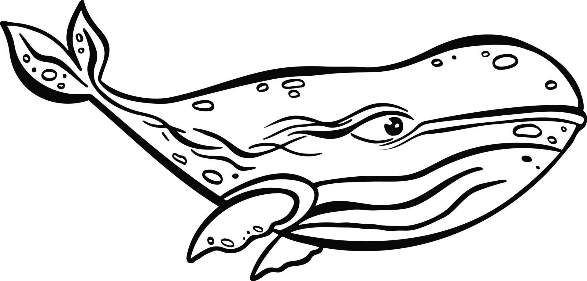 Line sea whale, fish symbol  hand drawn vector