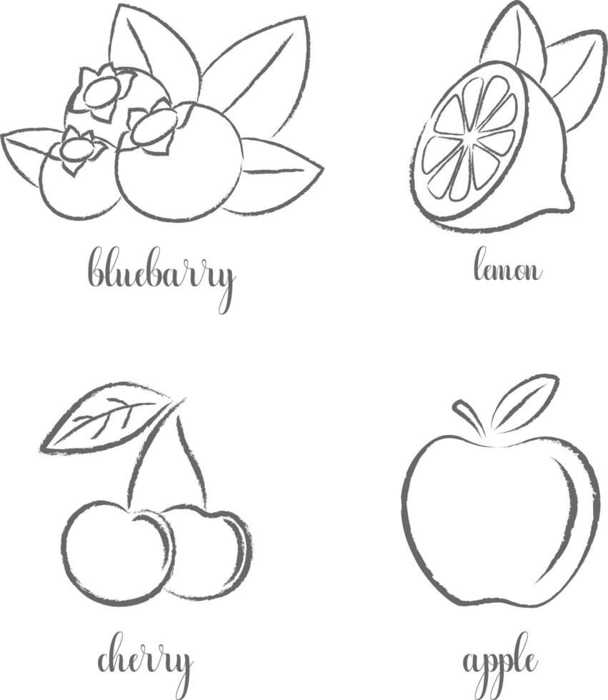 Hand draw frutis, set. Apple, lemon, cherry, blueberry. vector