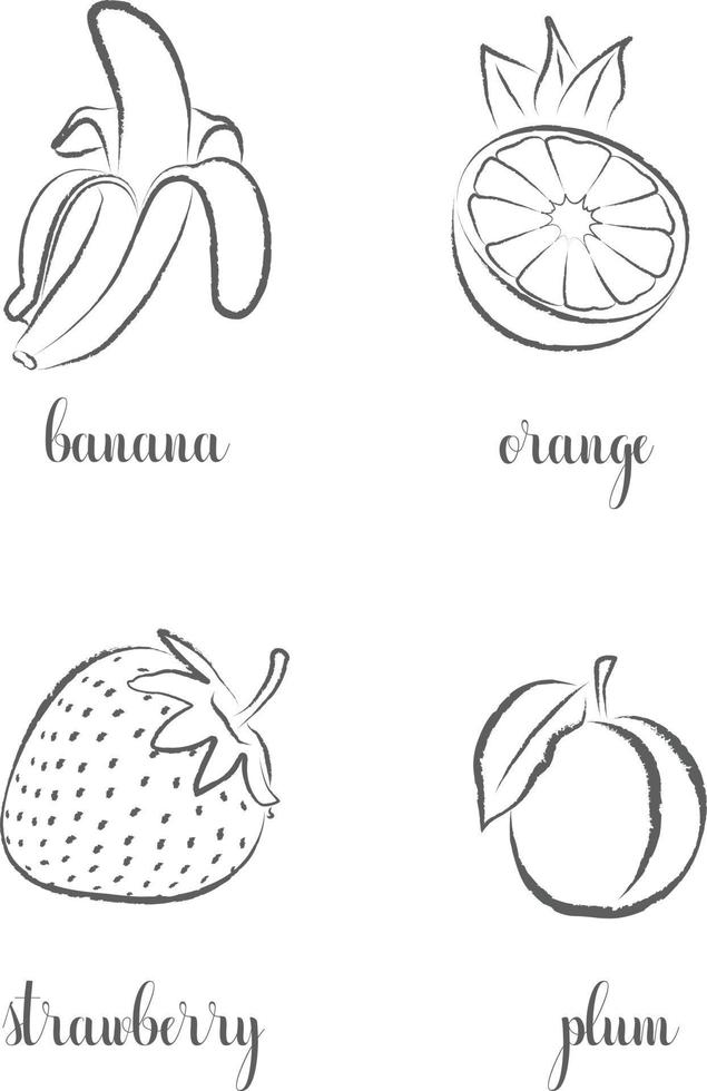 dibujar a mano frutis, establecer. plátano, naranja, fresa, ciruela vector