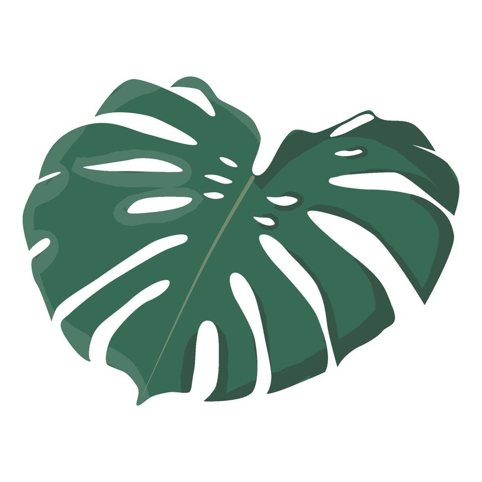 pegatina de diseño plano de hoja de monstera verde. ilustración de icono aislado sobre fondo blanco vector