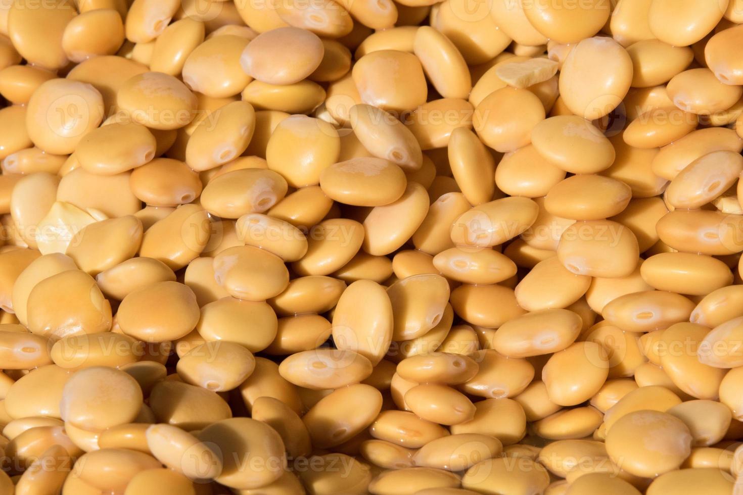 lupins on stand at the market photo