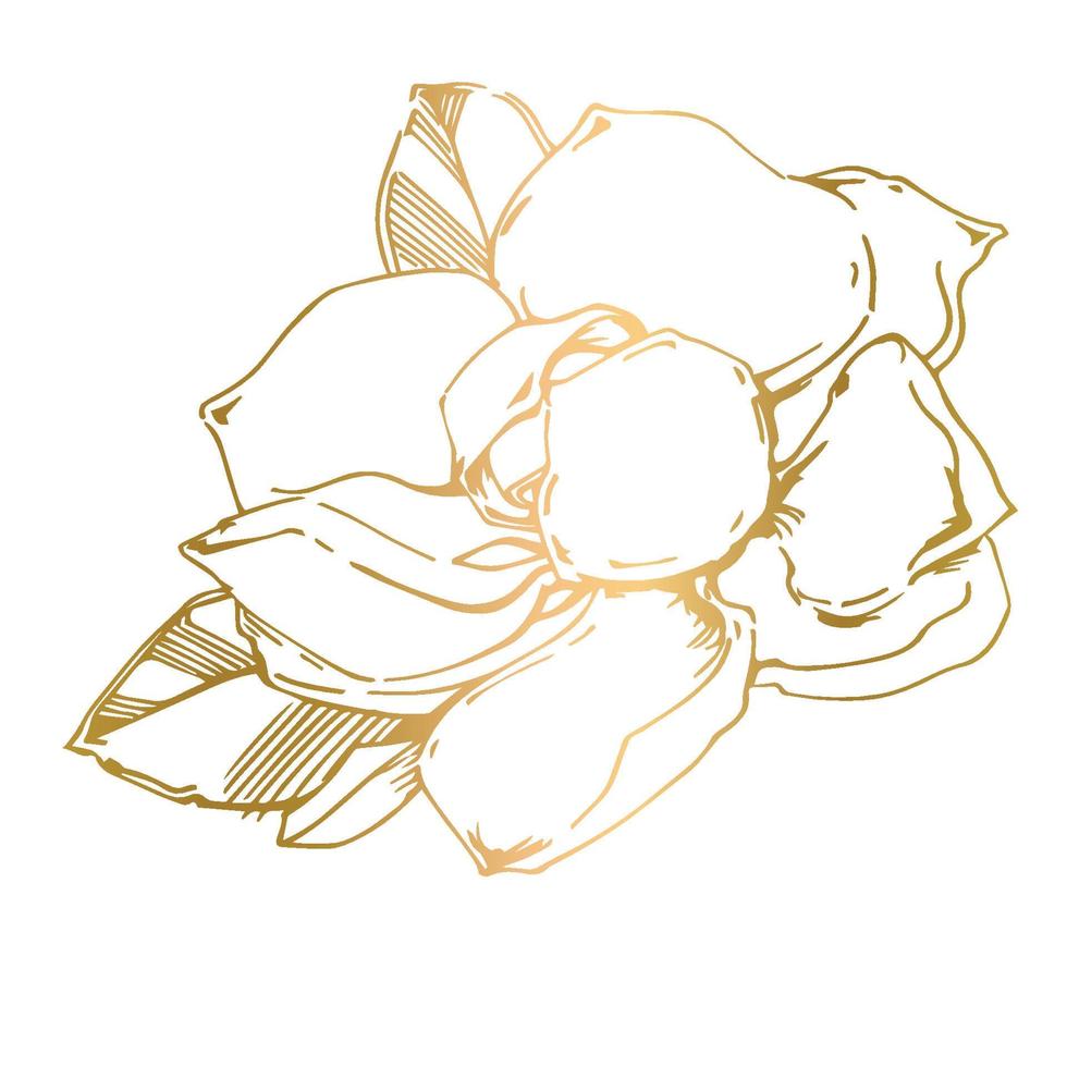 Vector sketch of black hand-painted magnolia flower