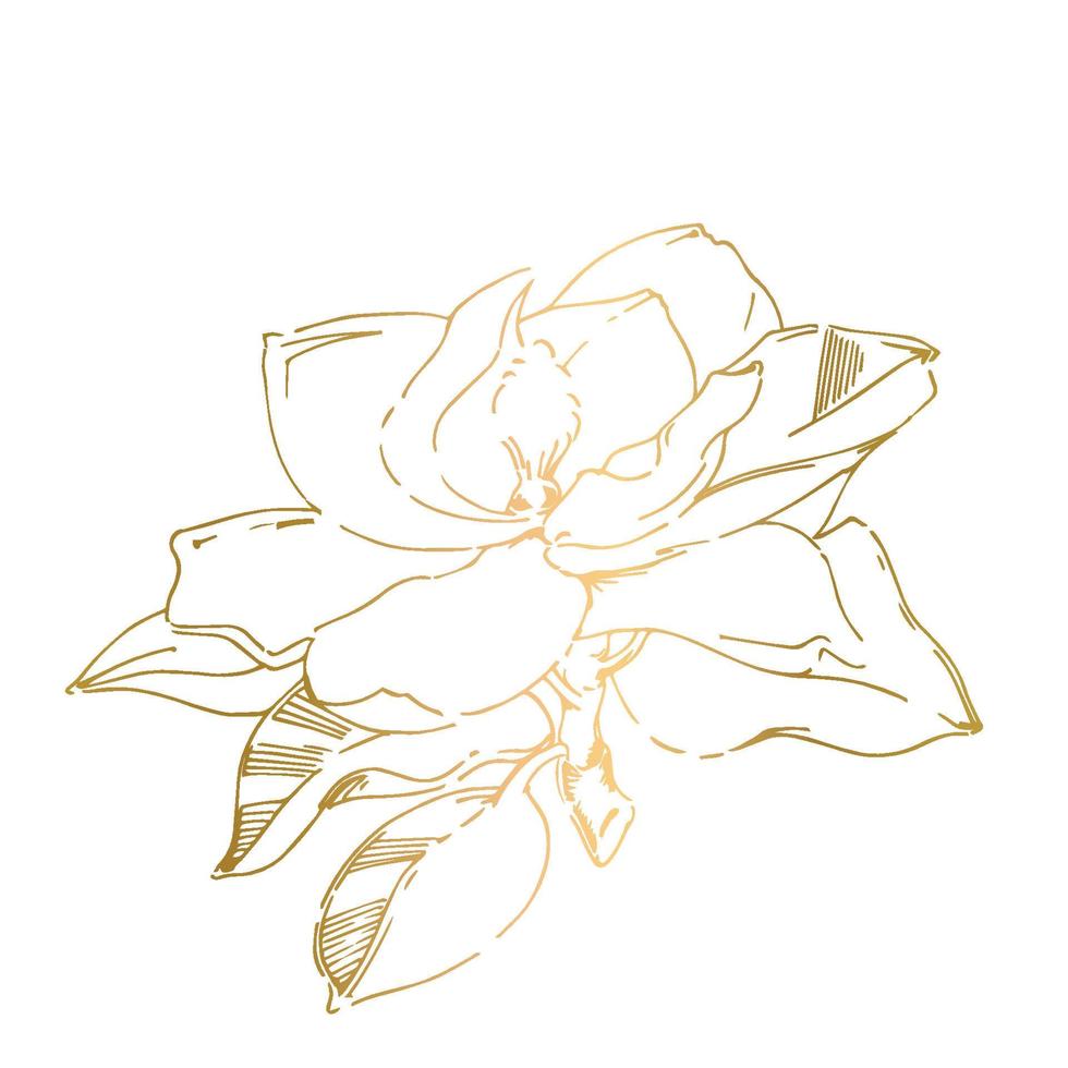 Vector sketch of black hand-painted magnolia flower