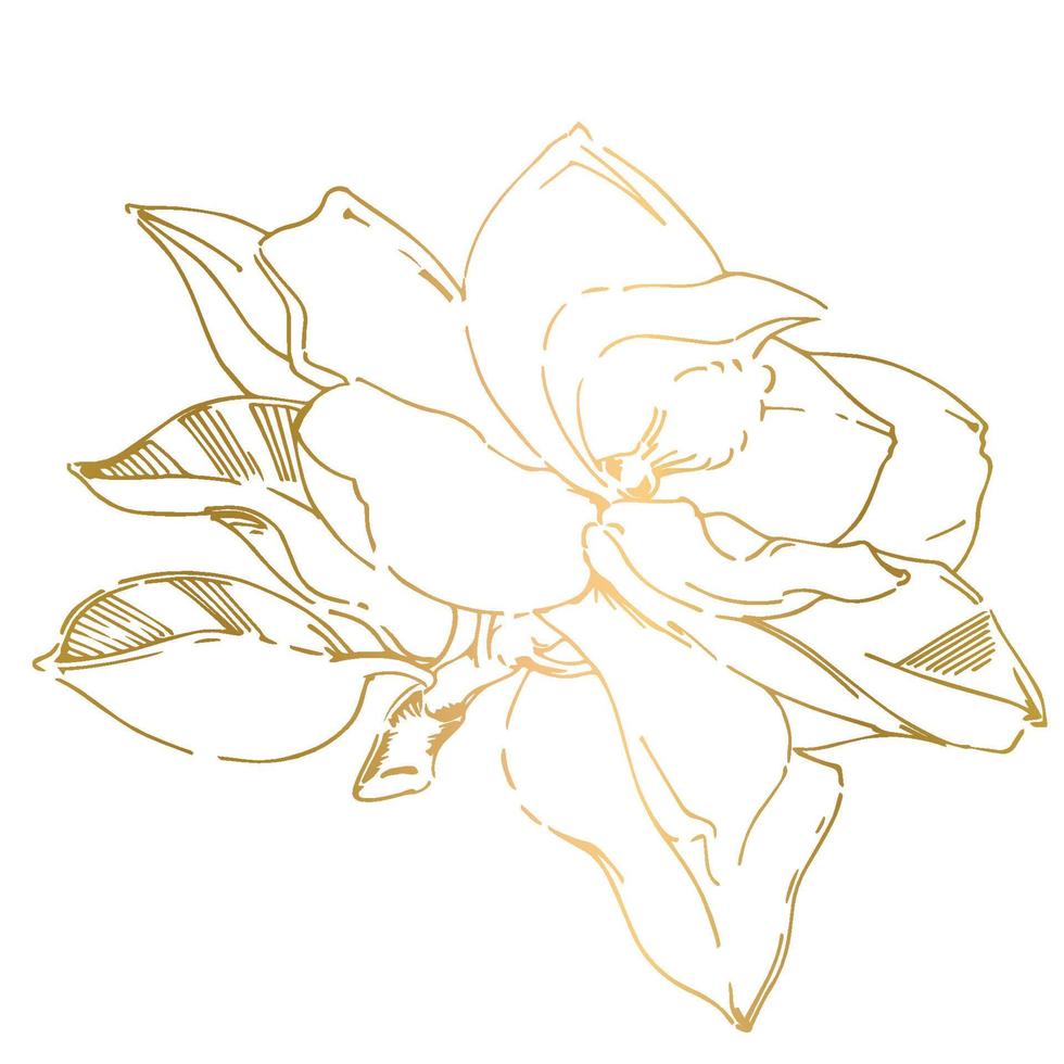 Vector sketch of black hand-painted magnolia flower