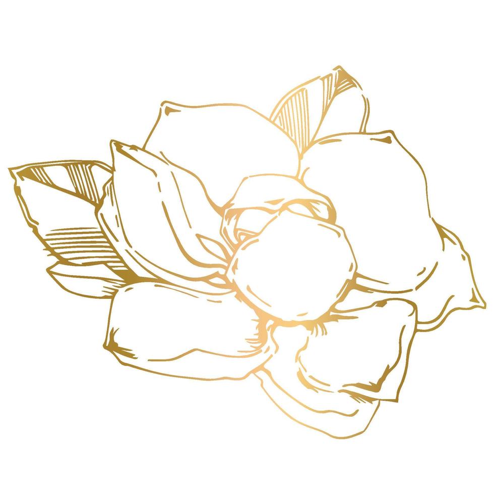 Vector sketch of black hand-painted magnolia flower