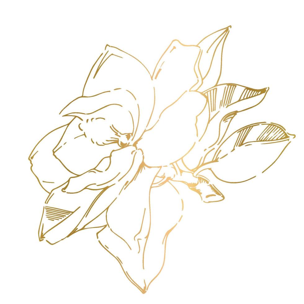 Vector sketch of black hand-painted magnolia flower