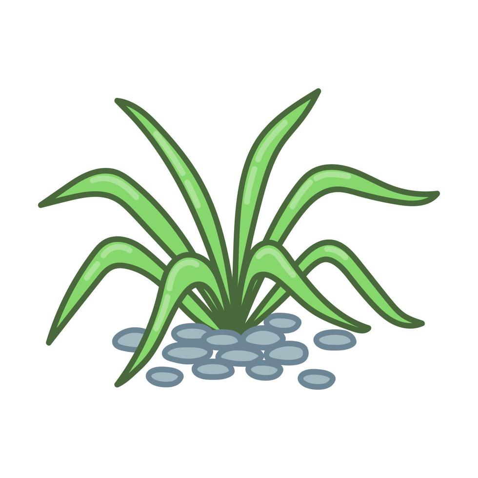 Garden plant with long leaves and decorative stones. Cartoon style. Vector art hand drawn on white background.
