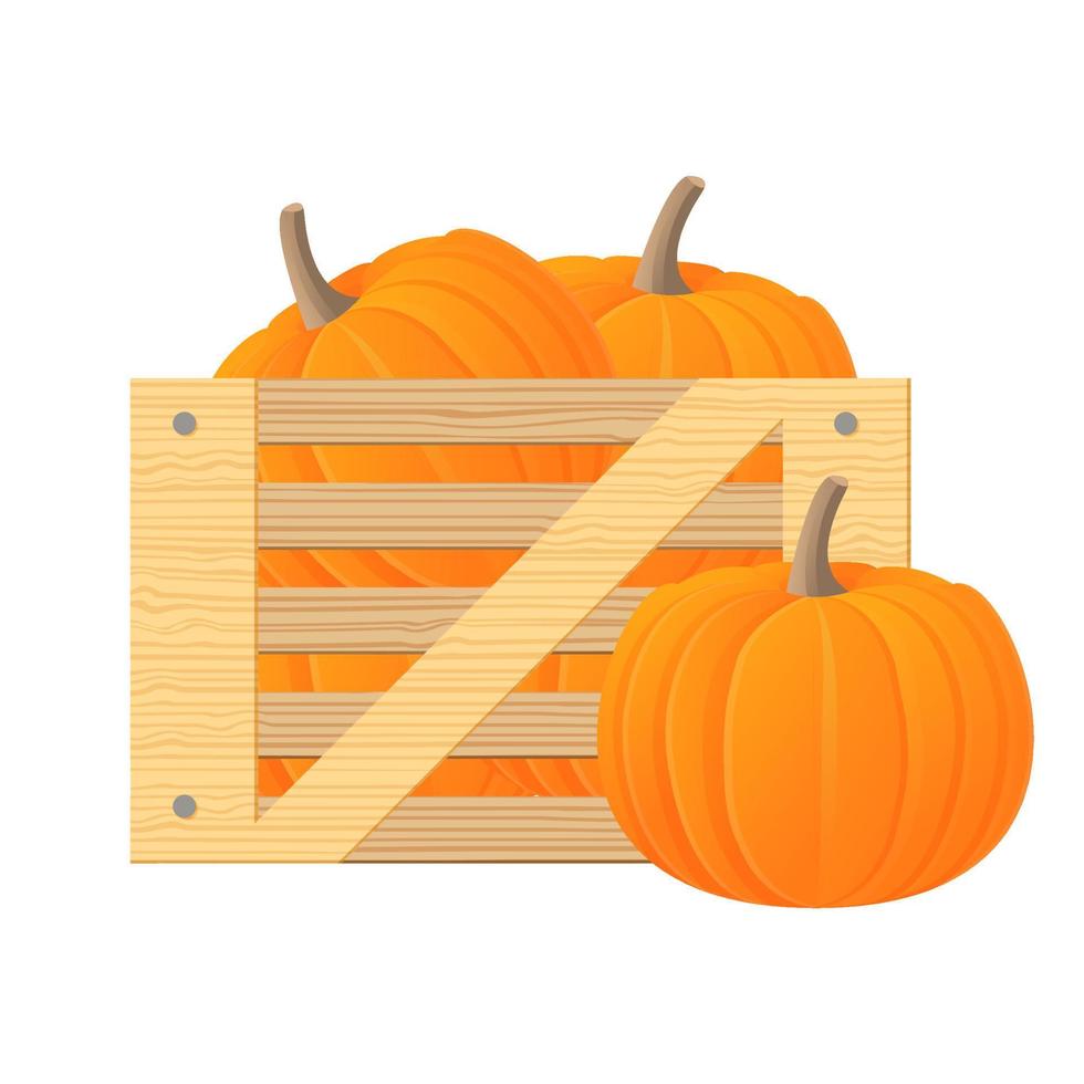 Wooden box with pumpkin. Harvesting vegetables. Flat illustration vector.Isolated on white background. vector