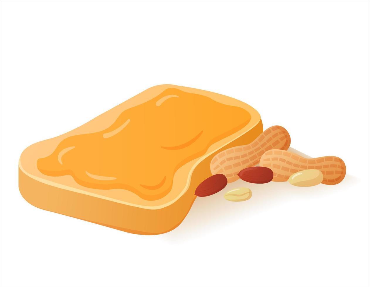 sándwich con mantequilla de maní en pan. tostadas fritas. ilustración de comida realista. vector. vector