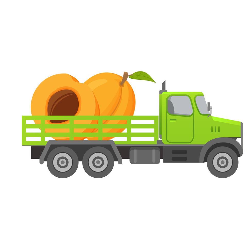 Food delivery truck apricot fruit harvesting.Car illustration vector.Isolated on a white background.Vehicle side view. vector