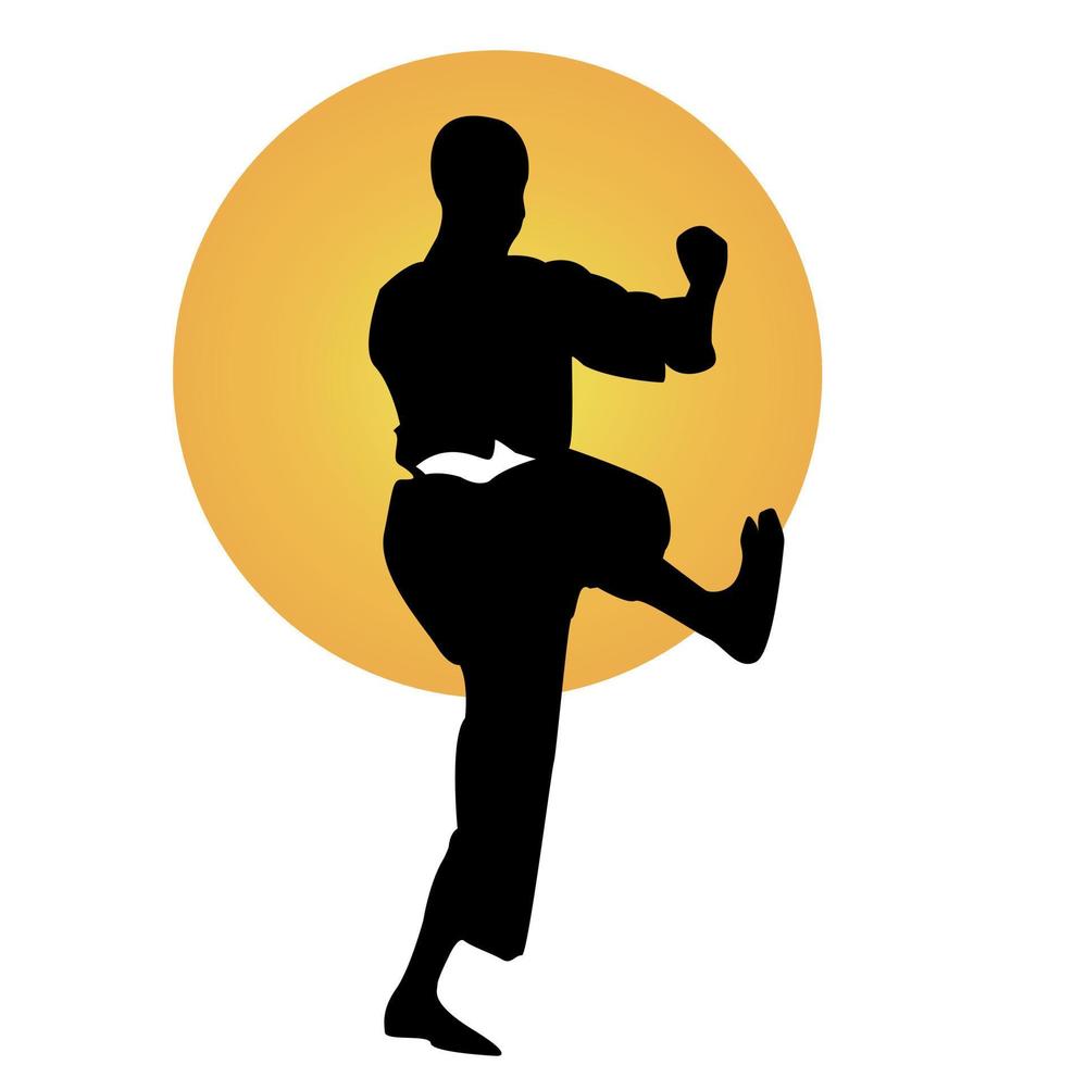 imagen de silueta vectorial de deportes de artes marciales en juegos de mar vector