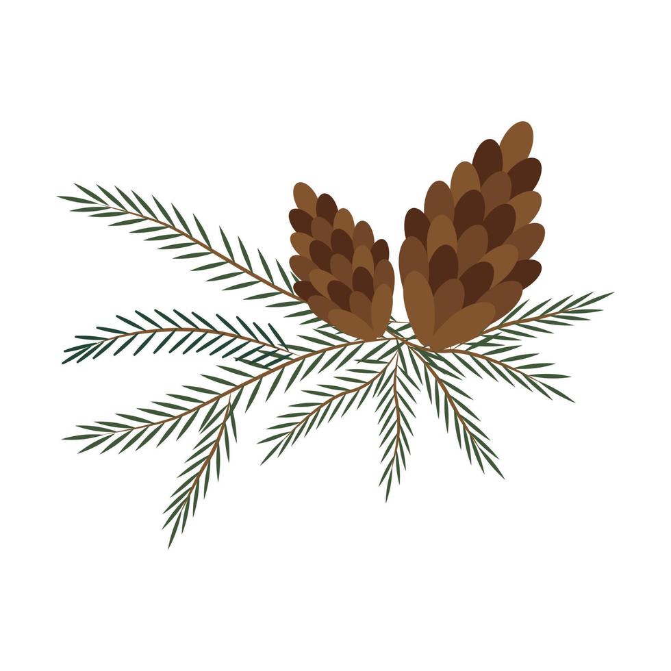 Two spruce cones on a branch. vector illustration