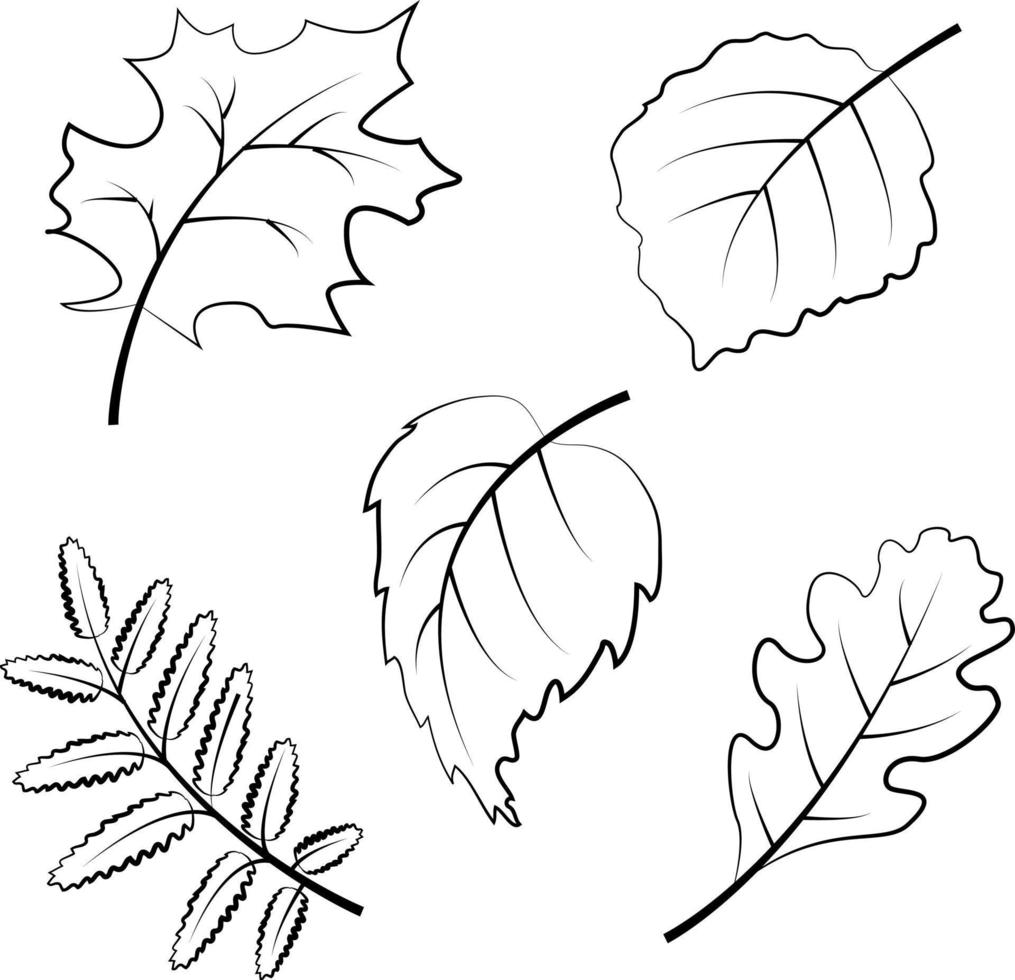 autumn seamless pattern with leaves.vector vector