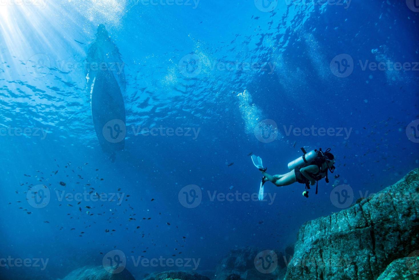 diver underwater going back to diving boat in the blue photo