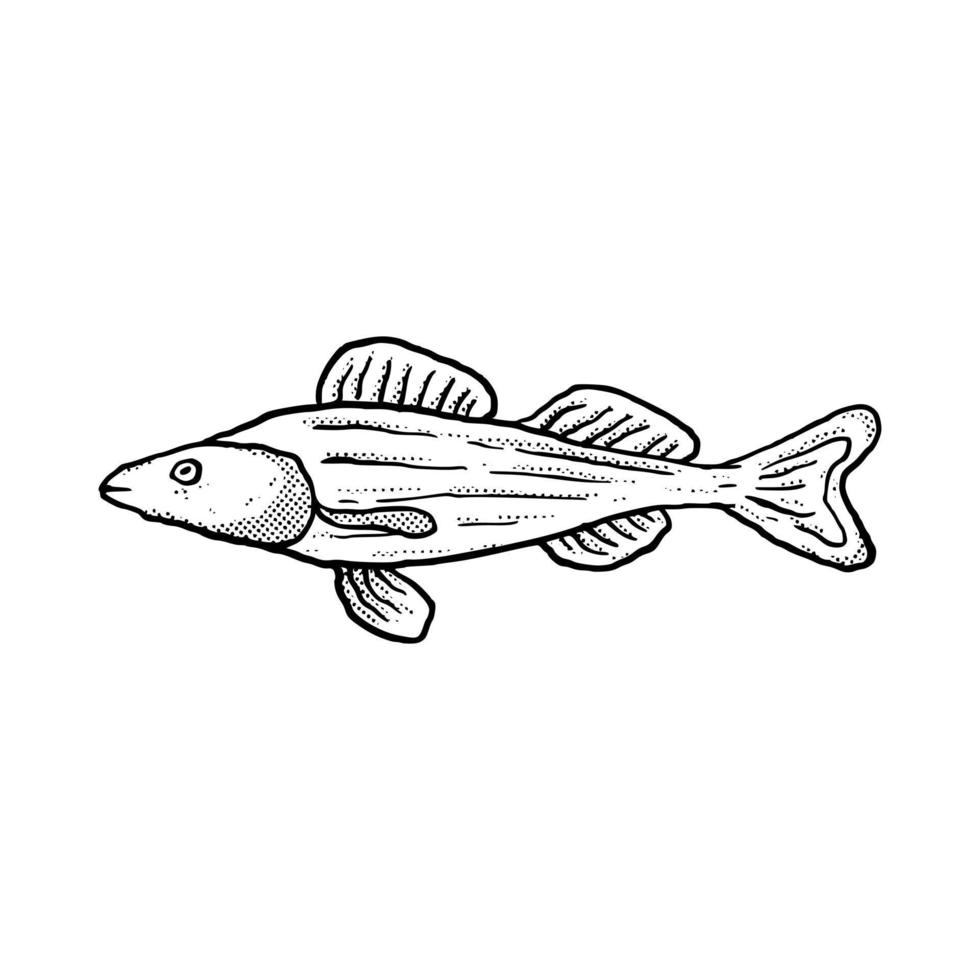 pescado ilustración dibujado a mano dibujos animados boceto lineart estilo vintage vector