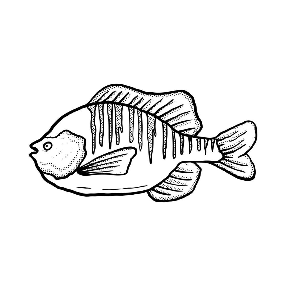 pescado ilustración dibujado a mano dibujos animados boceto lineart estilo vintage vector