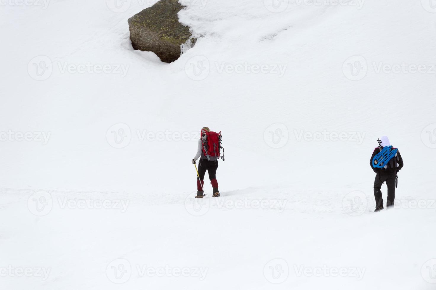 isolated snow shoe trekker photo