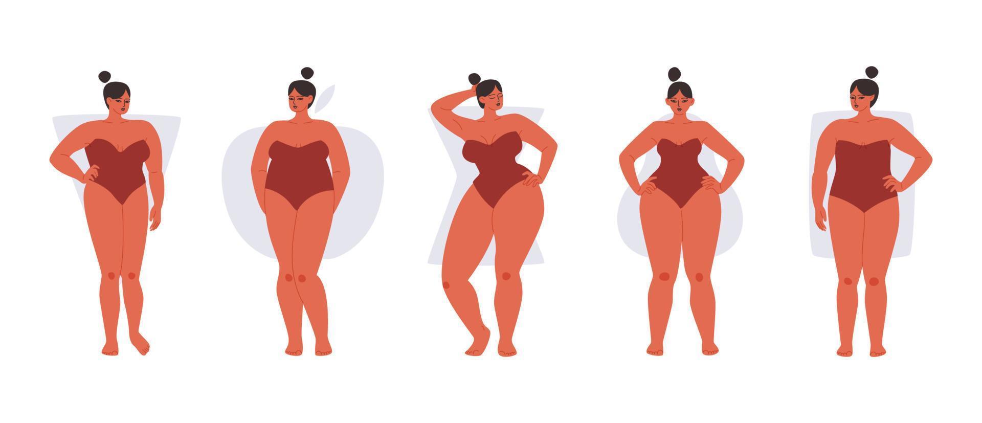 conjunto de tipos de cuerpo femenino completo aislado. las mujeres con curvas en trajes de baño rojos muestran diferentes formas corporales. ilustración vectorial de chicas gorditas sobre un fondo blanco. vector