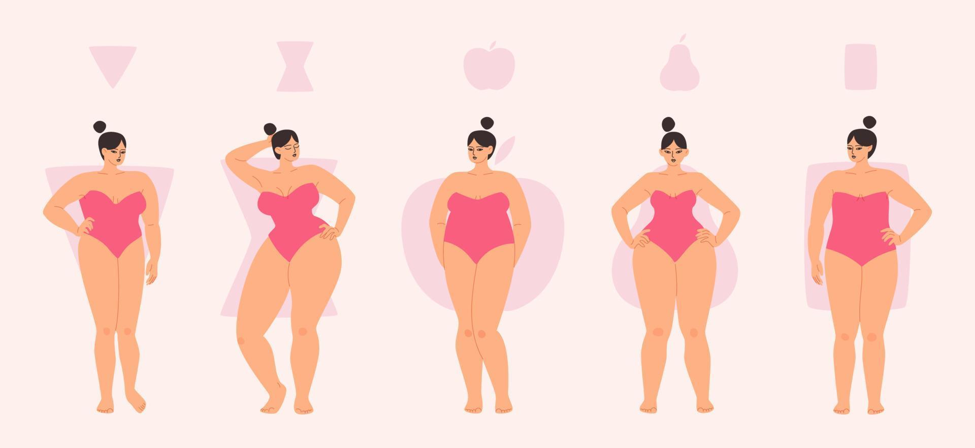 Plump female body types are apple, triangle, hourglass and rectangle. Diverse women in swimsuits stand in a row. Vector illustration of chubby girls in pink isolated.