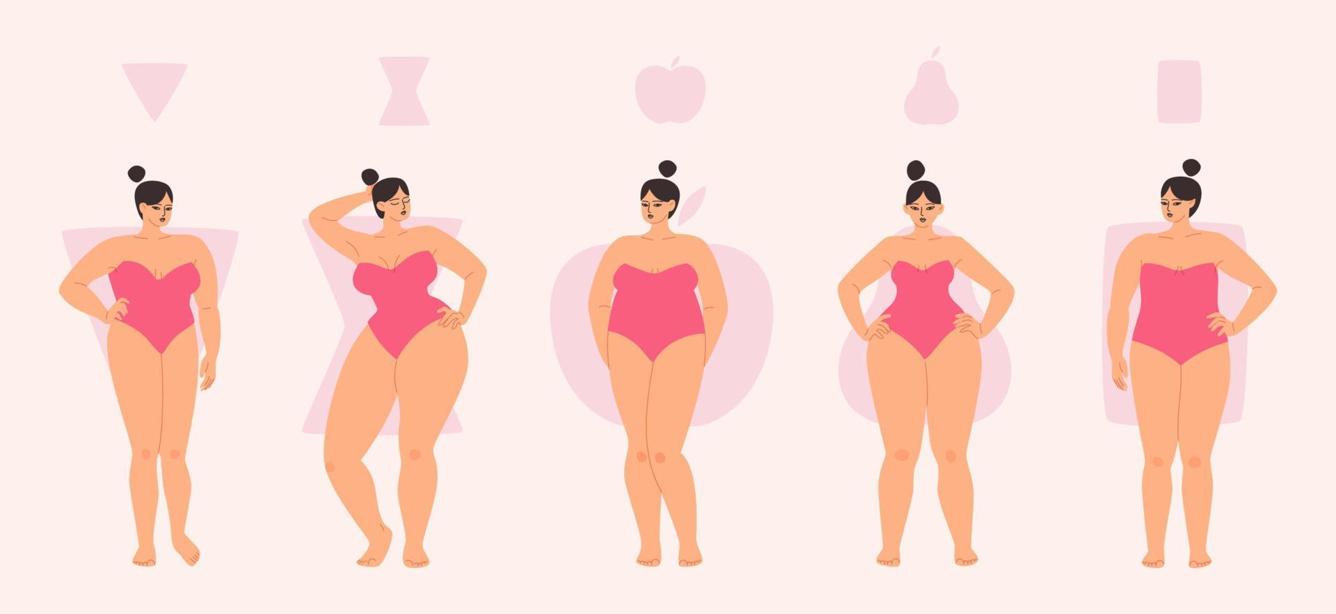 Los tipos de cuerpos femeninos regordetes son manzana, triángulo, reloj de arena y rectángulo. diversas mujeres en trajes de baño se paran en una fila. ilustración vectorial de chicas gorditas en rosa aisladas. vector