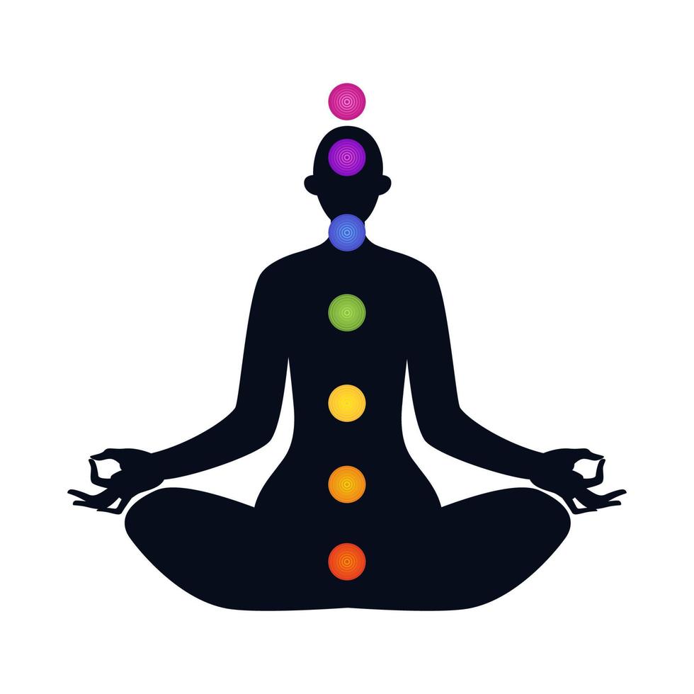 cuerpo femenino en posición de loto aislado. siete chakras dentro de la silueta de una persona. ilustración vectorial coloreada de una silueta femenina sobre un fondo blanco. vector